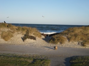 Bild: Ostseeurlaub im Ferienappartement Carpe Diem