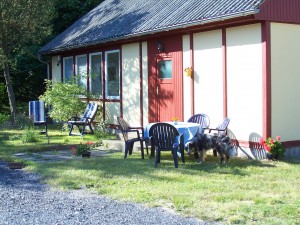Bild Ferienhaus im Birkenhof Steinölsa