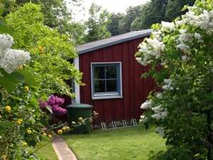 Ferienhaus "Anna" auf Rügen zwischen den Ostseebädern Binz und Sellin