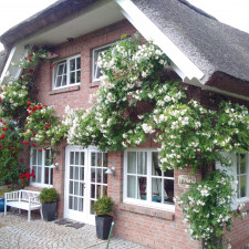 5-Sterne Landhaus unter Reet - 125m/2 + 85 m/2 Fitness-/Wellnessbereich