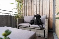 Bild 19: König Albert Residenz